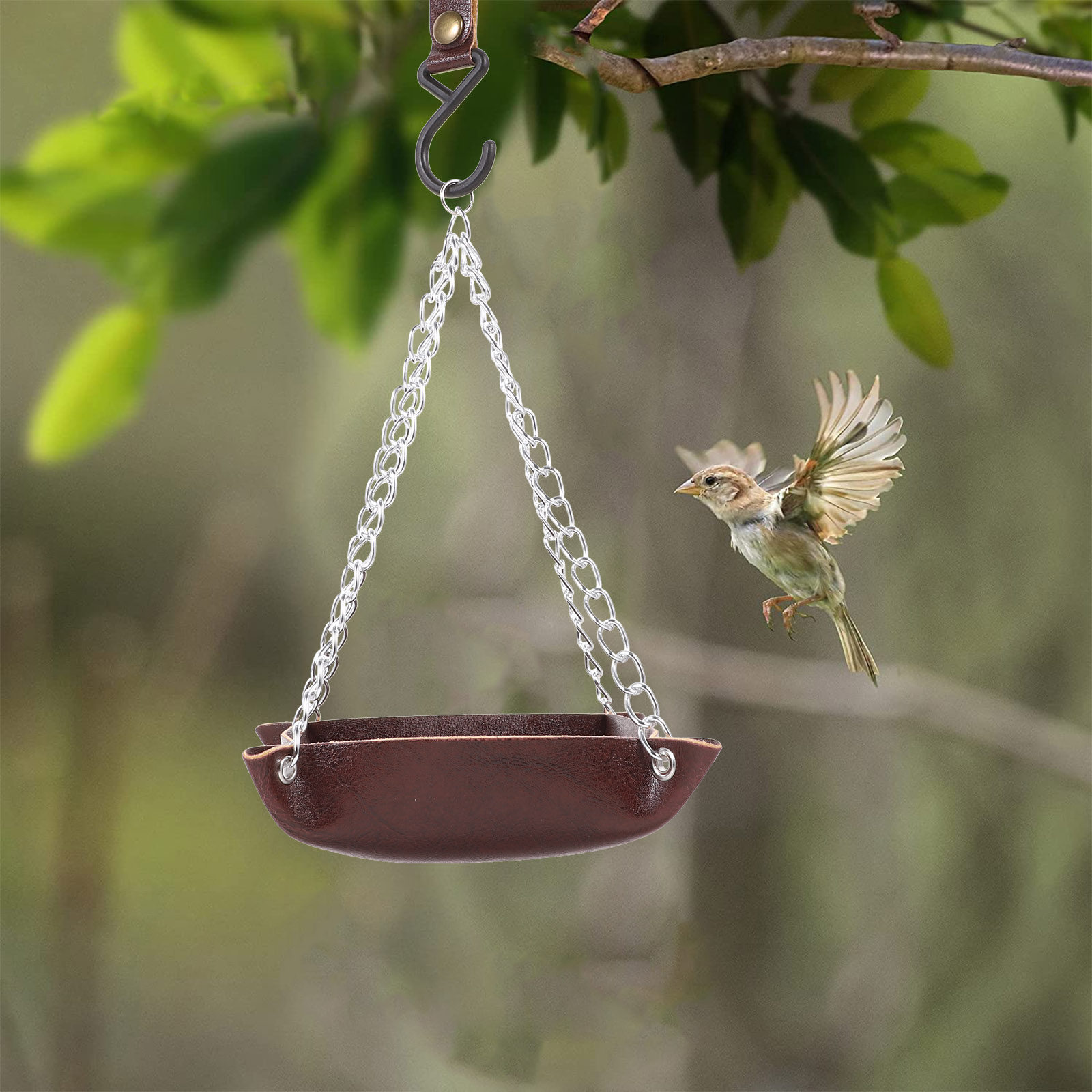 Bird Feeder Transparent Durabl - đánh giá và giá Feeding